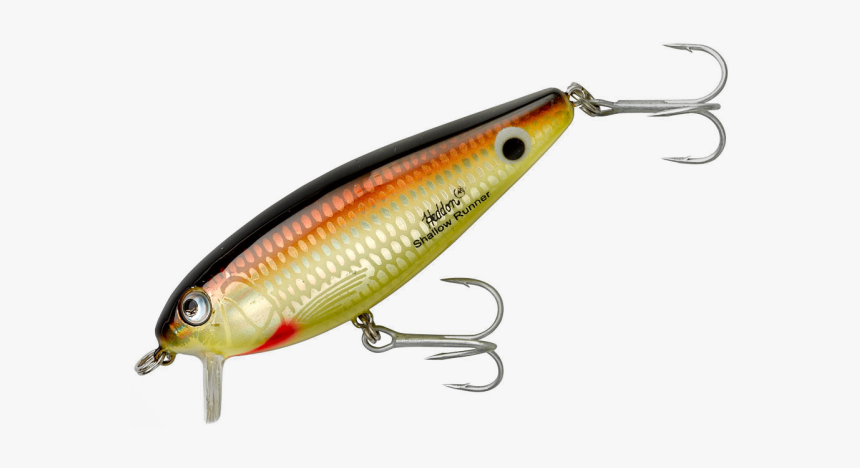 Swim N Image - Lure Heddon, HD Png Download