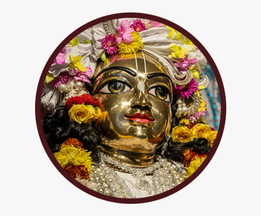 Holi, HD Png Download