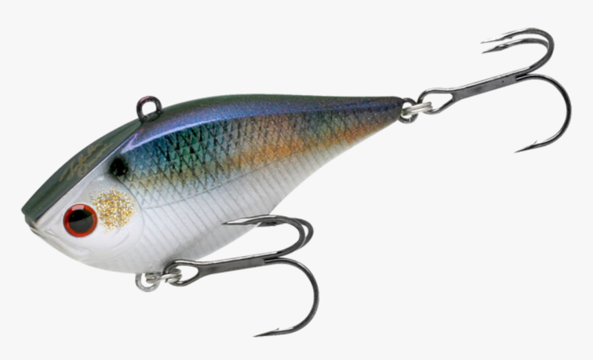 7677132 - Animal, HD Png Download