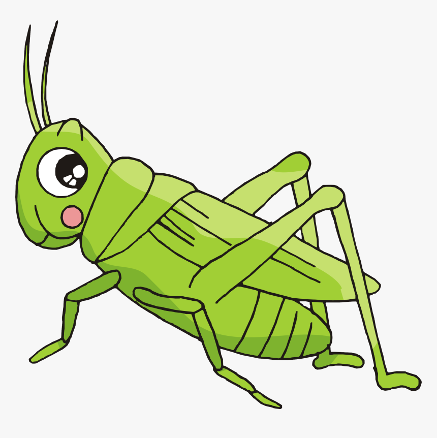 Cartoon Bush Crickets Creative - Imagenes De Grillo Animadas, HD Png Download