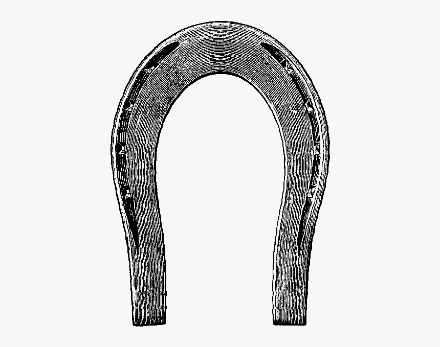 Vintage Horseshoe Png - Horse Shoe Antique Illustration, Transparent Png