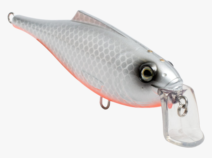 Bait Fish, HD Png Download