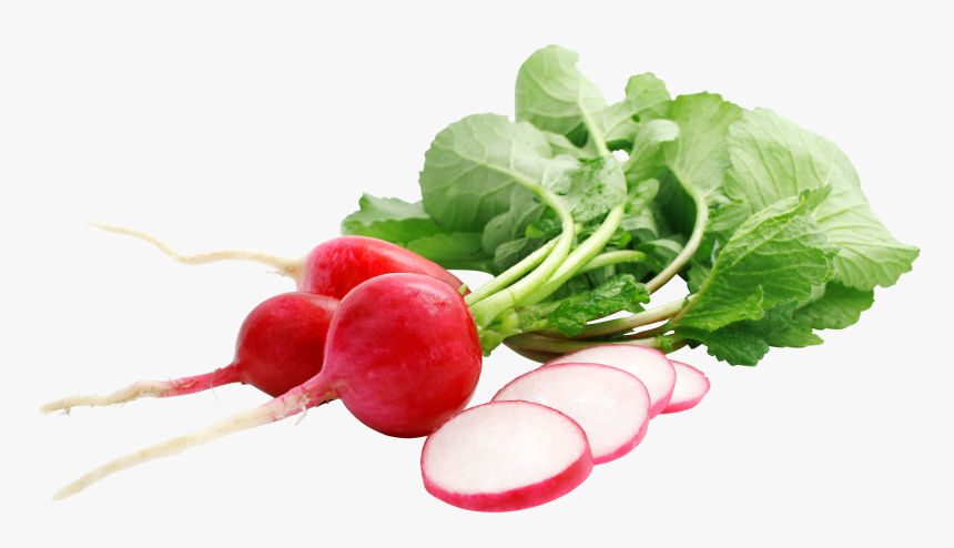 Radish Png - Raphanus Sativus Png, Transparent Png