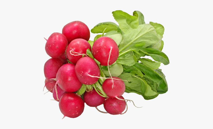 Radish Png - Red Radish Png, Transparent Png