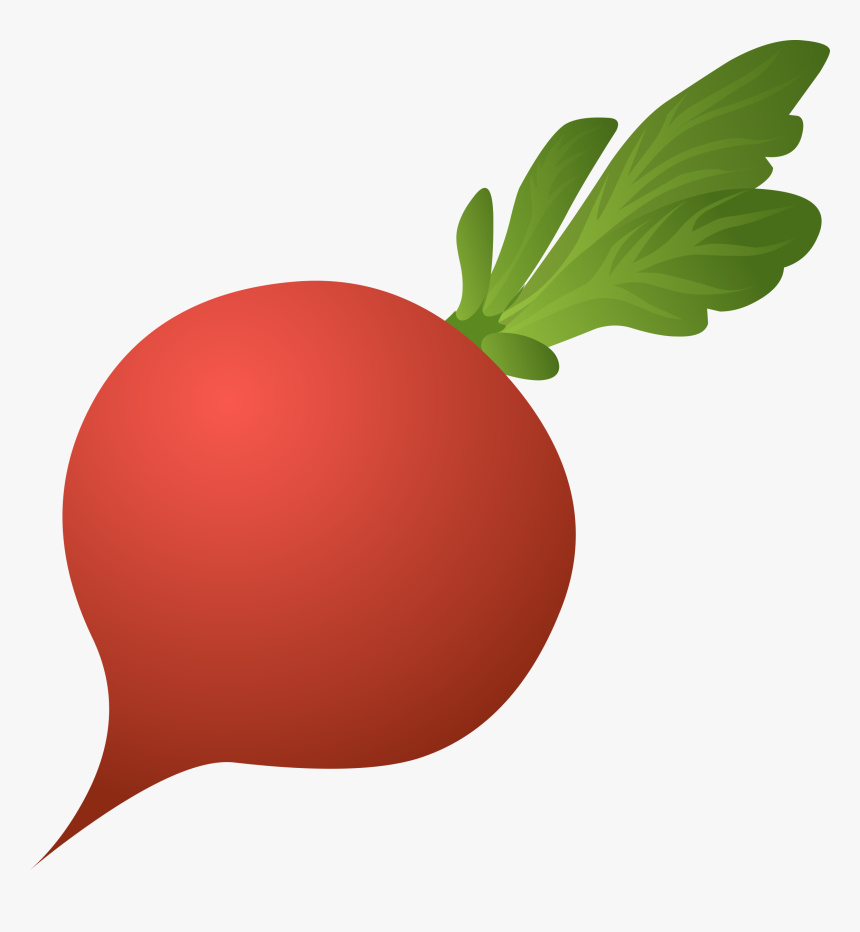 Radish Png Clipart, Transparent Png