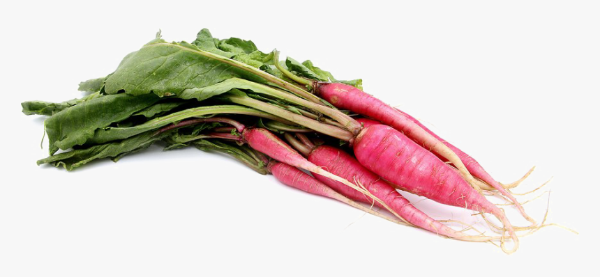 Transparent Radish Png - Shunkyo Radishes, Png Download