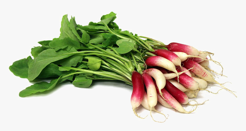 Transparent Radish Png - Portable Network Graphics, Png Download