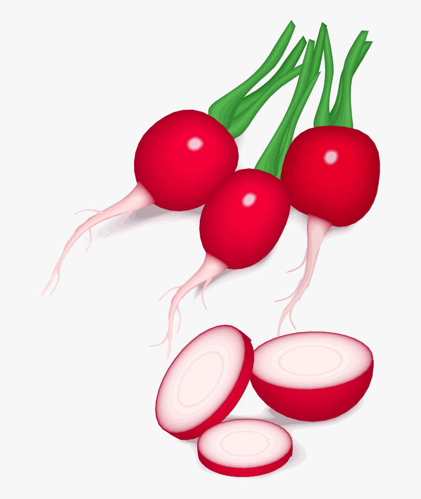Radishes Clipart, HD Png Download