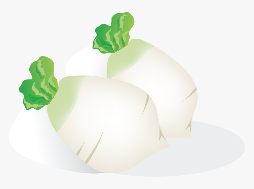Radish Vegetables Food Free Picture - รูป หัว ไช เท้า การ์ตูน, HD Png Download