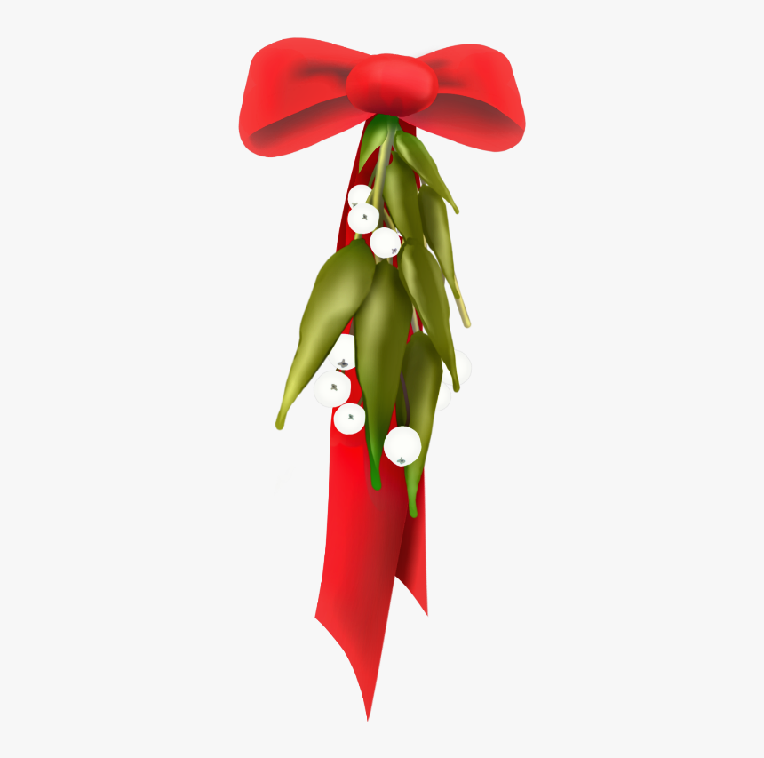 #scmistletoes #mistletoe #redribbon #bow #red #green - Coquelicot, HD Png Download