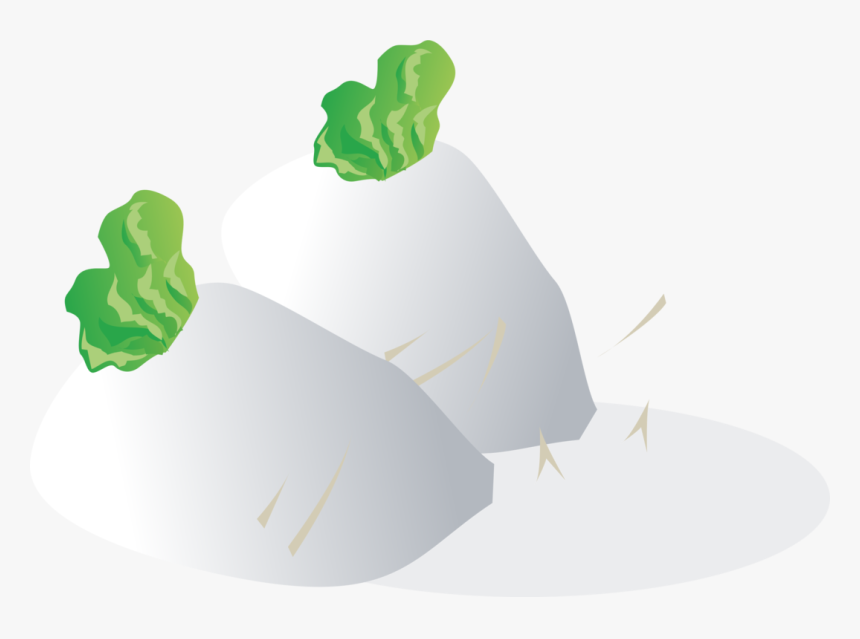 Plant,flower,leaf - หัว ไช เท้า การ์ตูน, HD Png Download