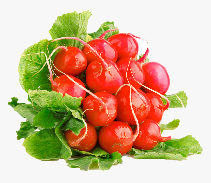 Radish - ผัก ผล ไม้ สี Png, Transparent Png