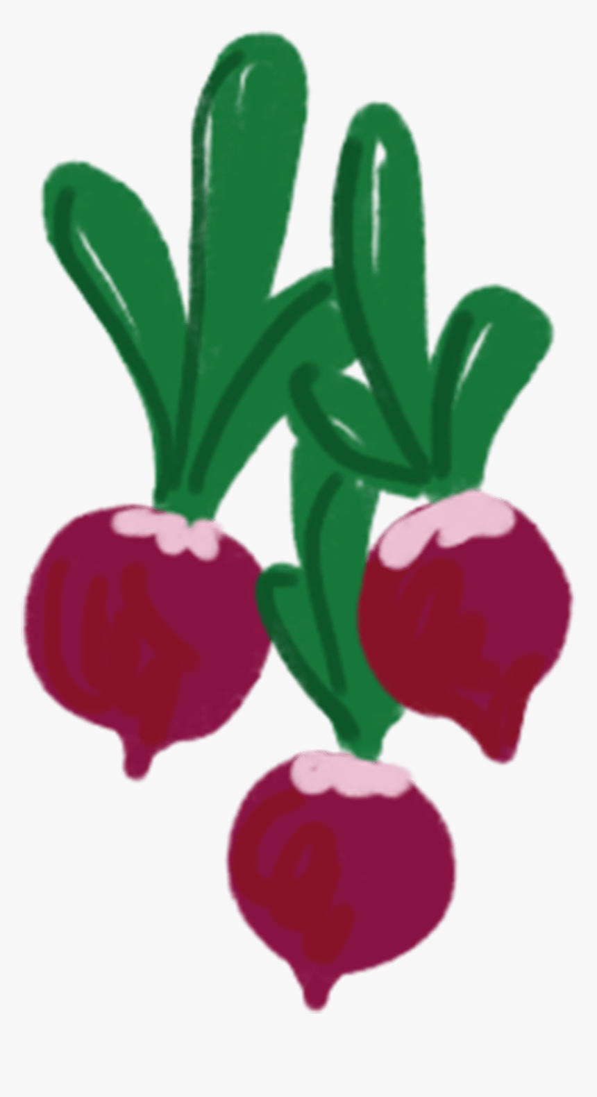 Clip Art, HD Png Download