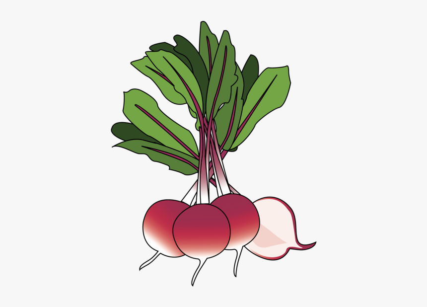 Beet Greens, HD Png Download