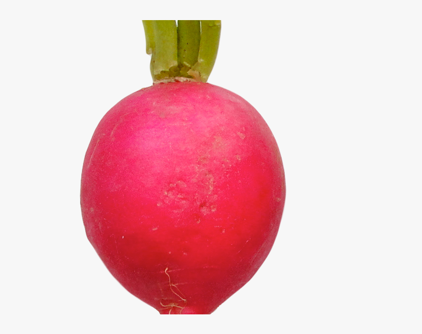 Radish - Beetroot, HD Png Download