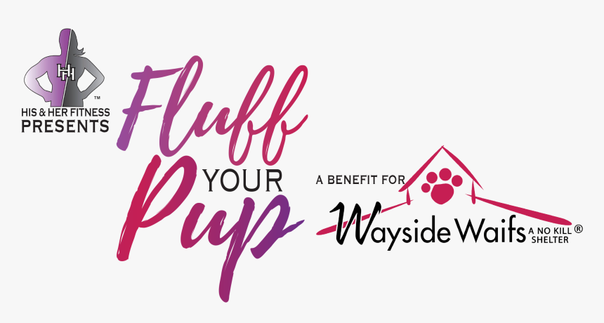 Organization, HD Png Download