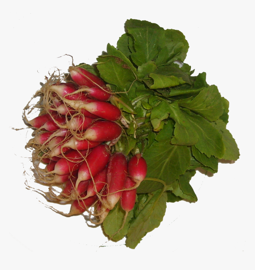 Leaf Vegetable, HD Png Download