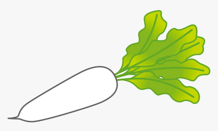 Daikon Clipart, HD Png Download