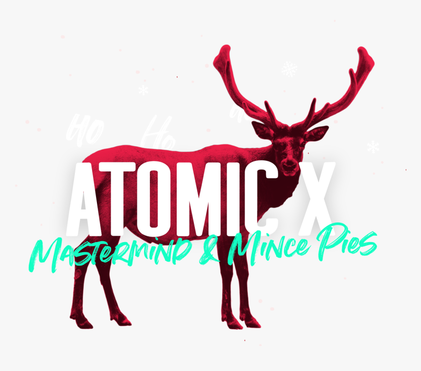 Reindeer-header2 - Reindeer, HD Png Download