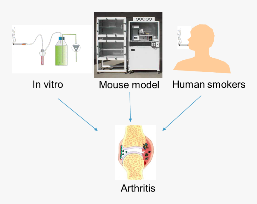 Co6, HD Png Download