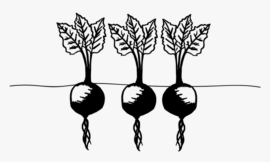 Illustration, HD Png Download