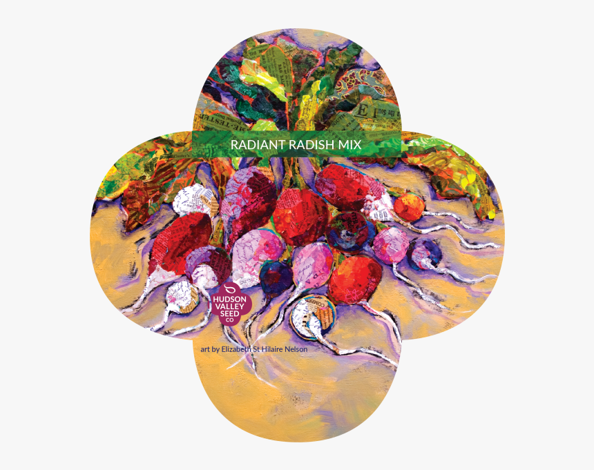 Radiant Radish Mix Quatrefoil - Visual Arts, HD Png Download