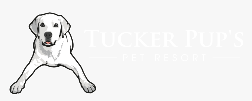 Poster, HD Png Download