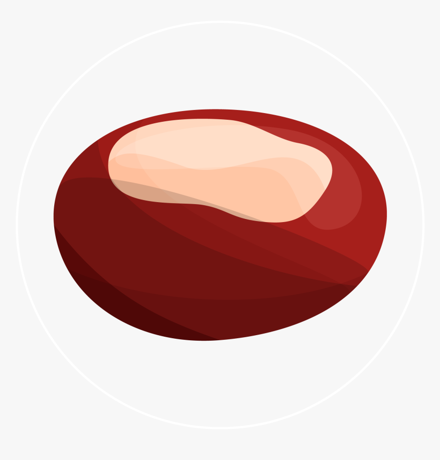 Chestnut-icon - Illustration, HD Png Download