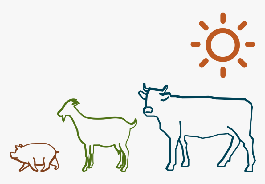 Dairy Cow, HD Png Download
