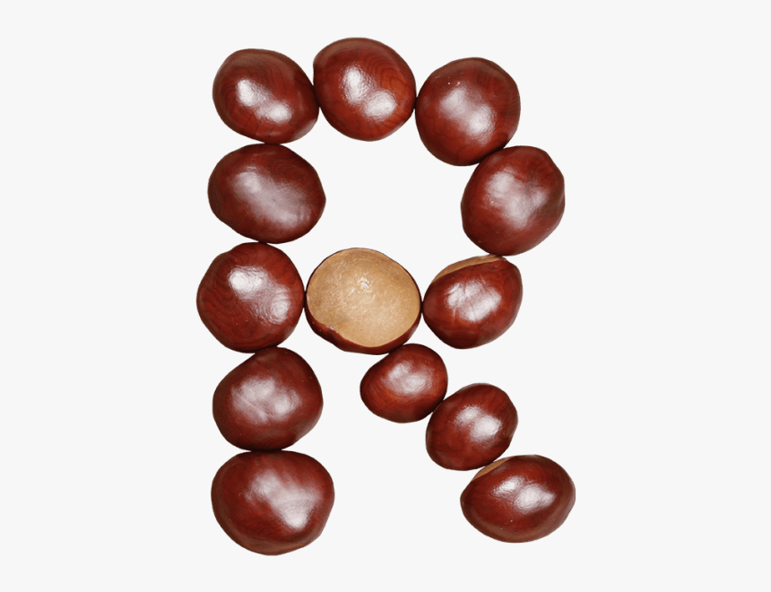Chestnut Font - Buckeye, HD Png Download