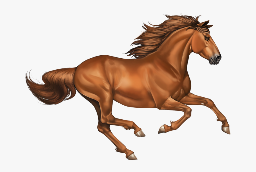Transparent Chestnut Clipart - Horse Mustang Png, Png Download