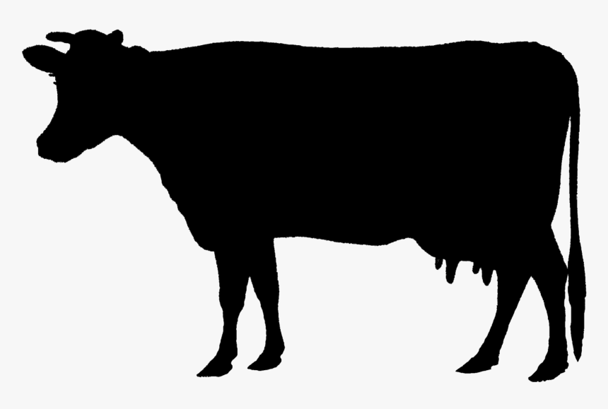 Holstein Friesian Cattle Animal Silhouettes Calf Beef - Farm Animal Silhouettes Clipart, HD Png Download