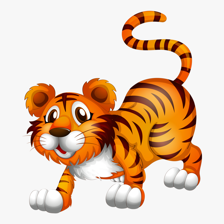 Png Pinterest Tigers - Different Kind Of Animals, Transparent Png