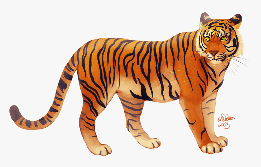 Png Tiger, Transparent Png
