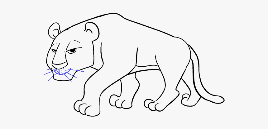 How To Draw Cartoon Tiger - Cartoon Tiger Drawing, HD Png Download