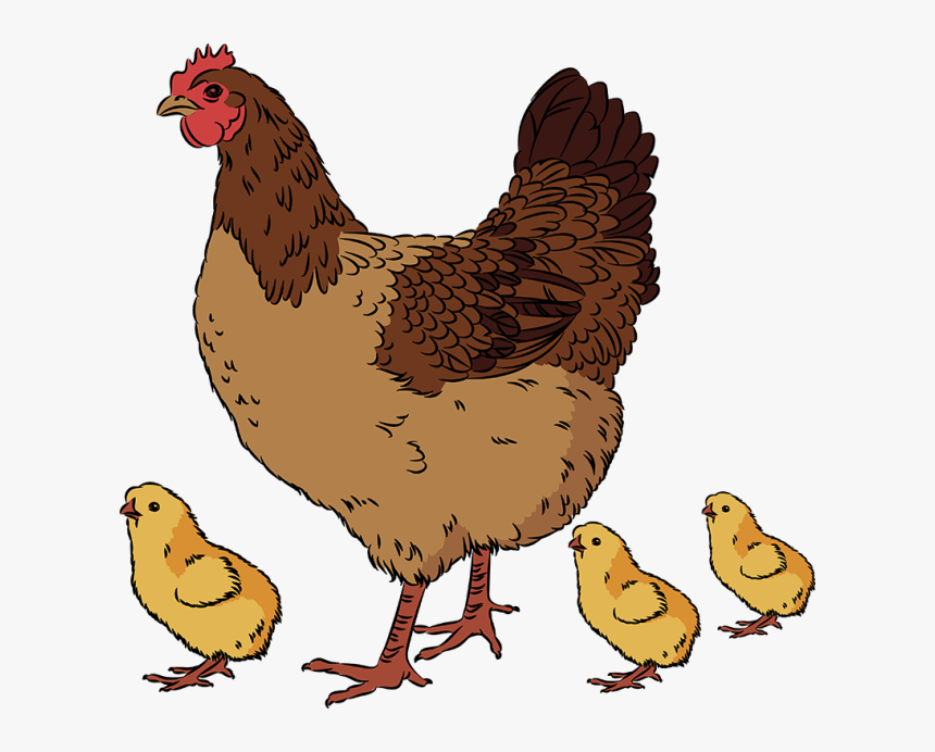 Chicken And Chicks Clip Art, HD Png Download