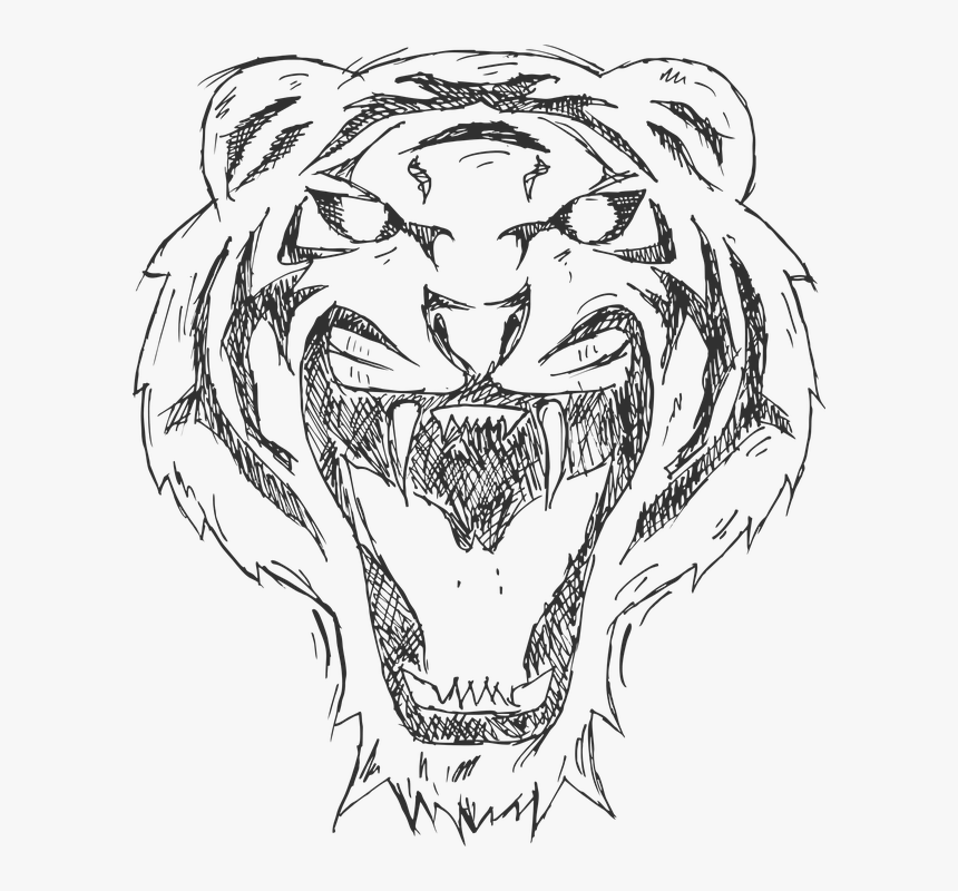 Tiger, Cartoon, Animal, Illustration, Black, White - White Tiger Arts Png, Transparent Png