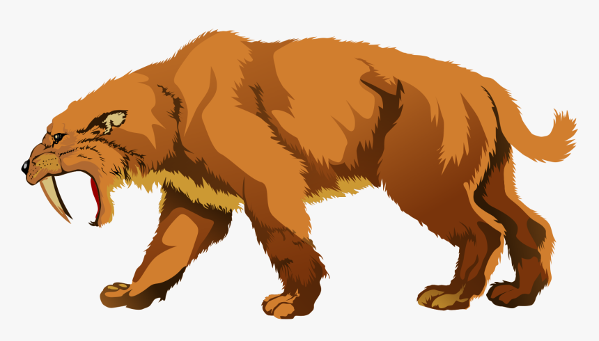 Tiger Clipart - Saber Tooth Tiger Clipart, HD Png Download