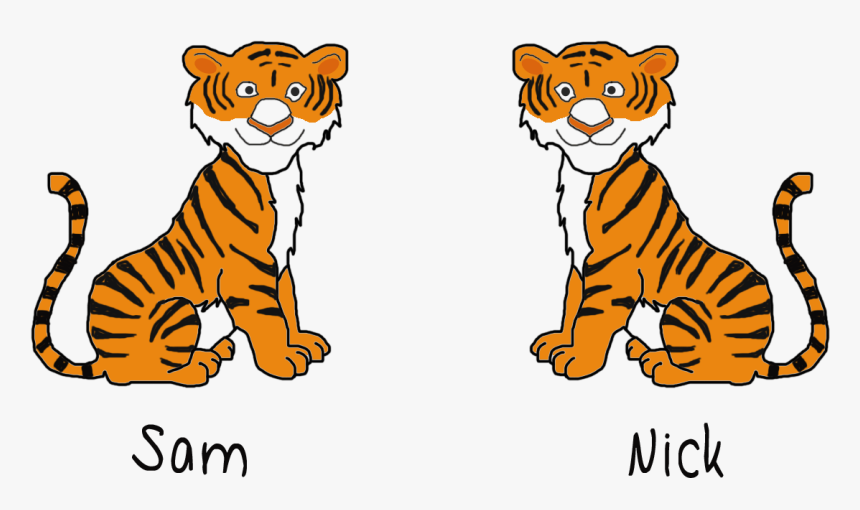 Jungle Tiger Vs Zoo Tiger, HD Png Download