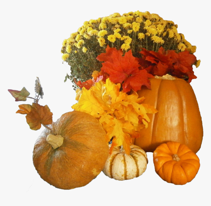 Transparent Background Pumpkin Png, Png Download