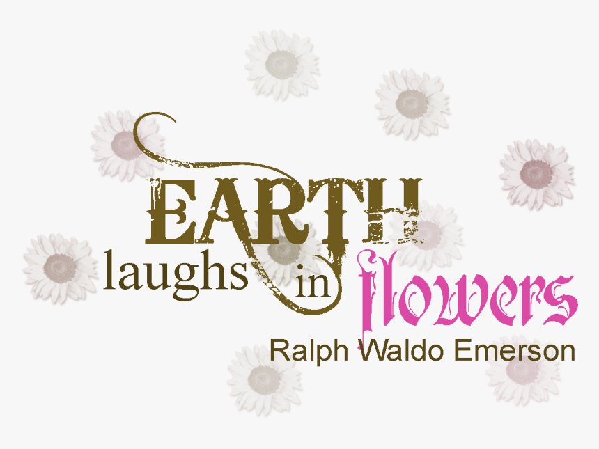 Calligraphy, HD Png Download