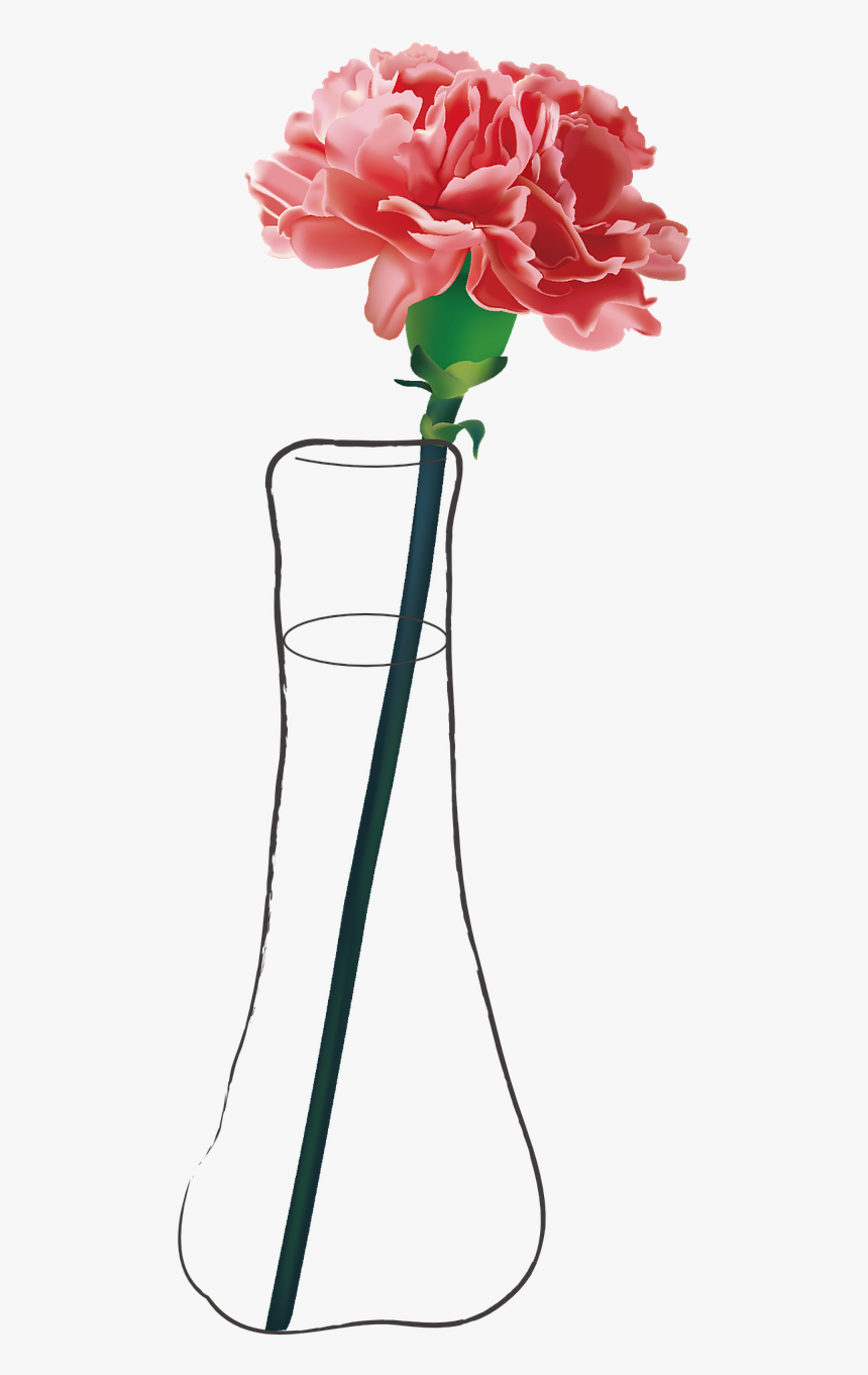 Carnation Flower, HD Png Download