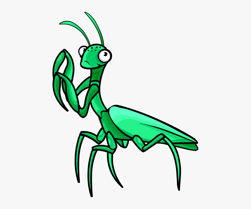 Transparent Praying Clipart - Praying Mantis Clipart Png, Png Download