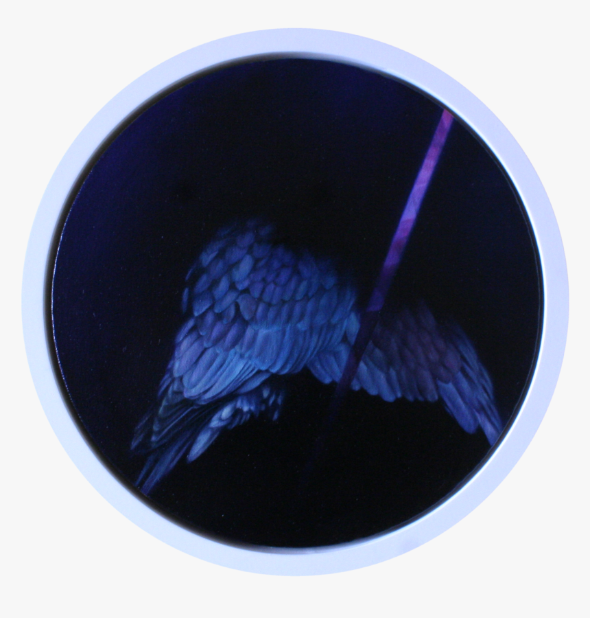 Circle, HD Png Download