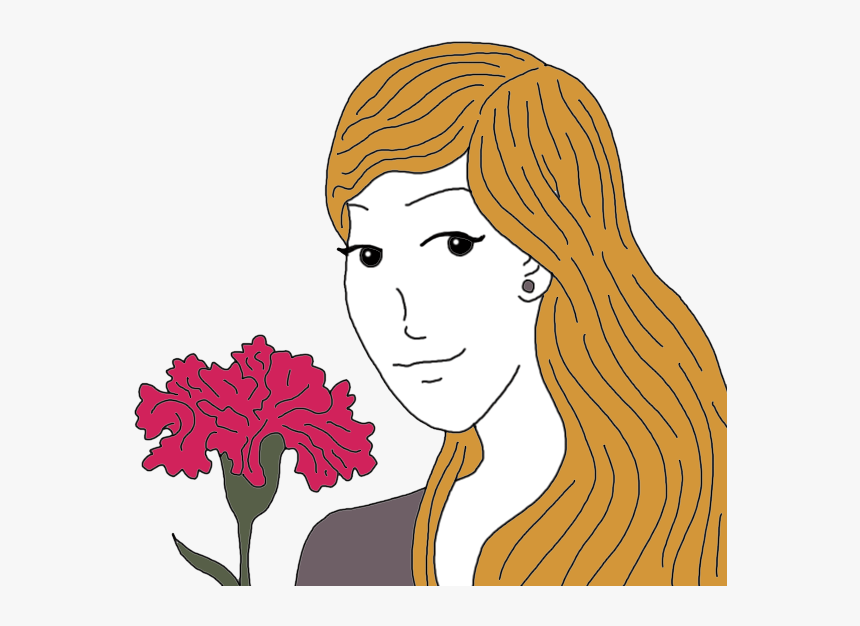 Carnations - Illustration, HD Png Download