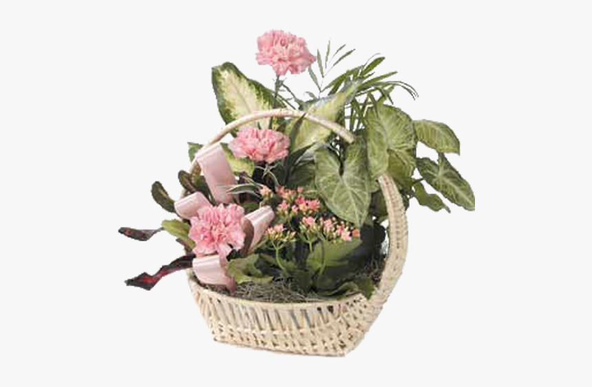 Ctt76 11, HD Png Download