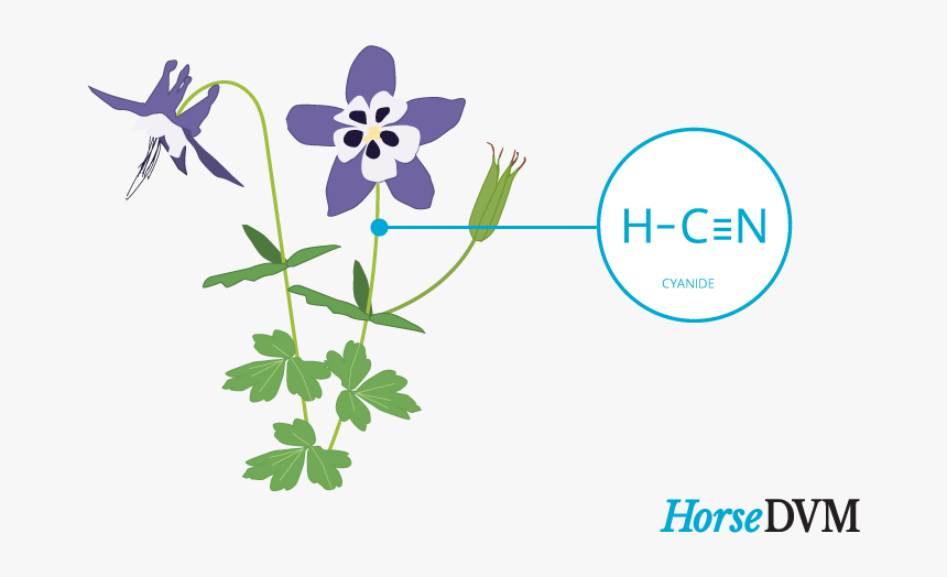 Clip Art, HD Png Download