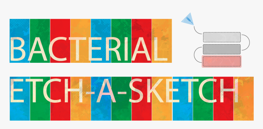 Graphic Design, HD Png Download