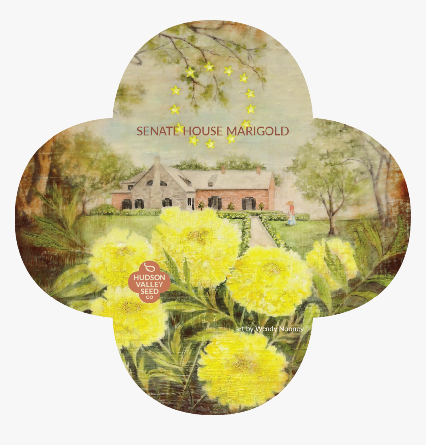 Senat House Marigold Quatrefoil - Headstone, HD Png Download