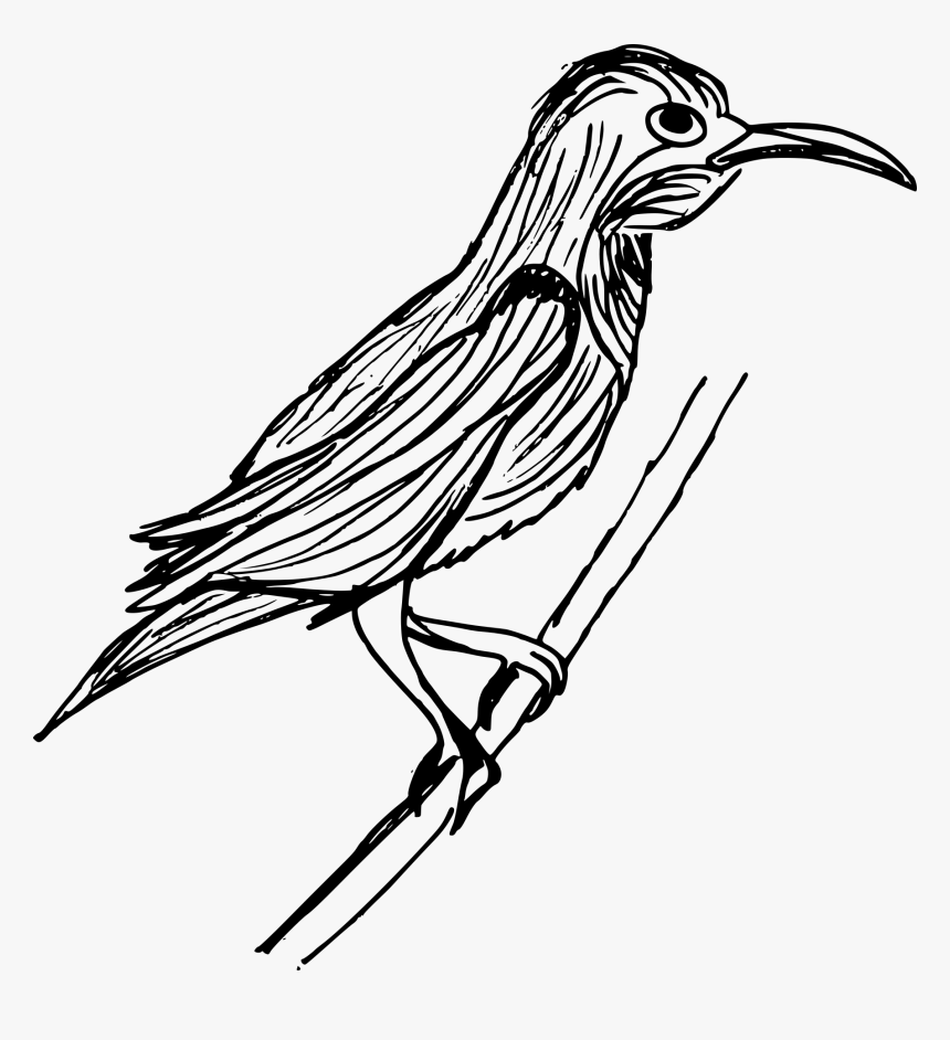 Png File Size - Sketch, Transparent Png